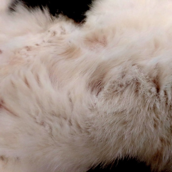 Meet your Posher, I - Picture 1 of 1